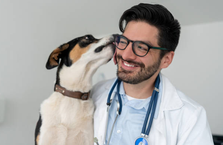 Dog licking the face of a veterinarian.