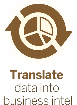 Translate Data into Business Intel service graphic.